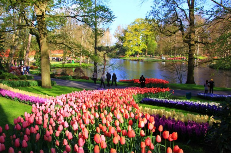 Keukenhof